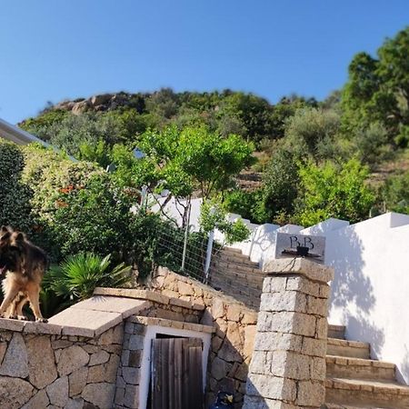 Casa L'Ulivariu Affittacamere San Teodoro  Exteriör bild