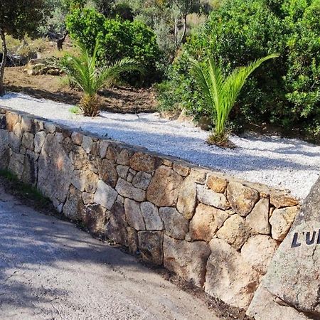 Casa L'Ulivariu Affittacamere San Teodoro  Exteriör bild
