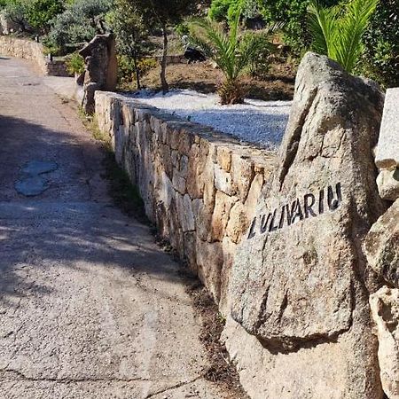 Casa L'Ulivariu Affittacamere San Teodoro  Exteriör bild