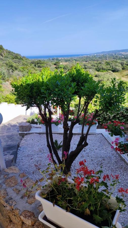 Casa L'Ulivariu Affittacamere San Teodoro  Exteriör bild