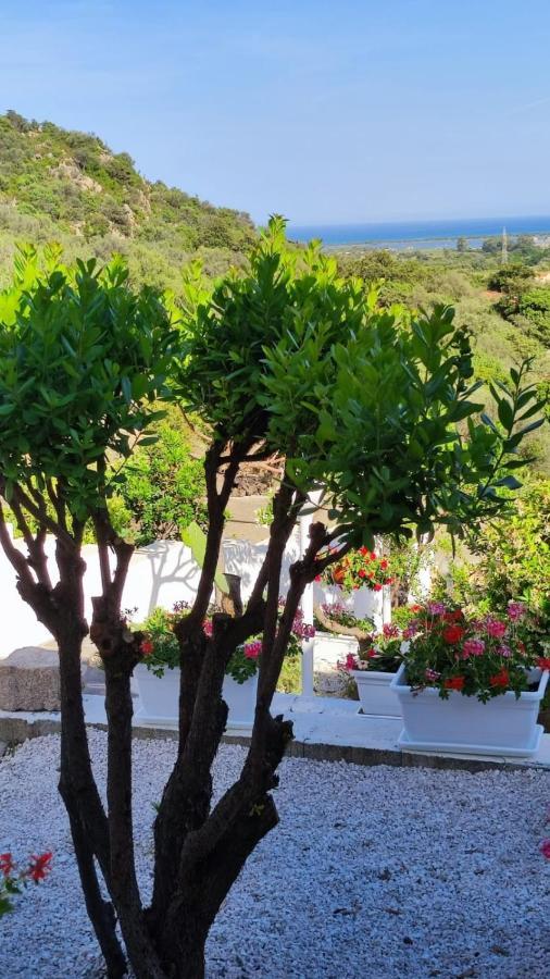 Casa L'Ulivariu Affittacamere San Teodoro  Exteriör bild