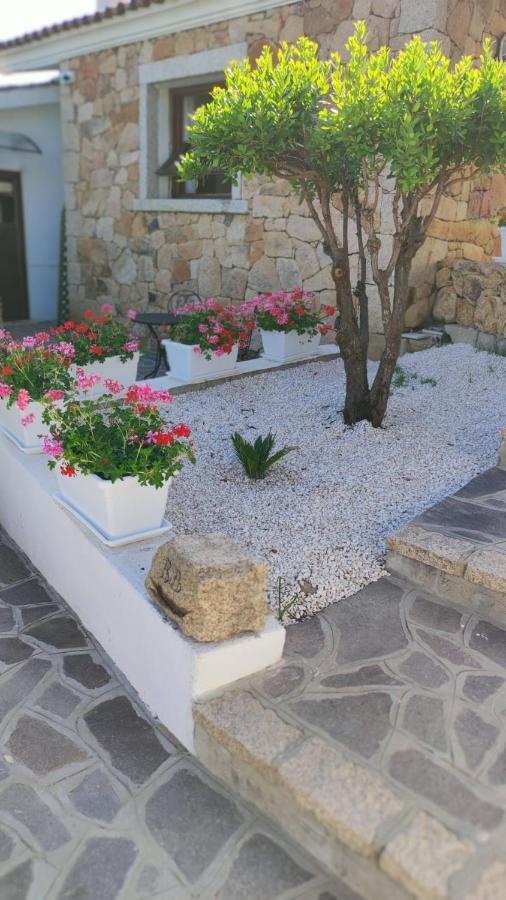 Casa L'Ulivariu Affittacamere San Teodoro  Exteriör bild