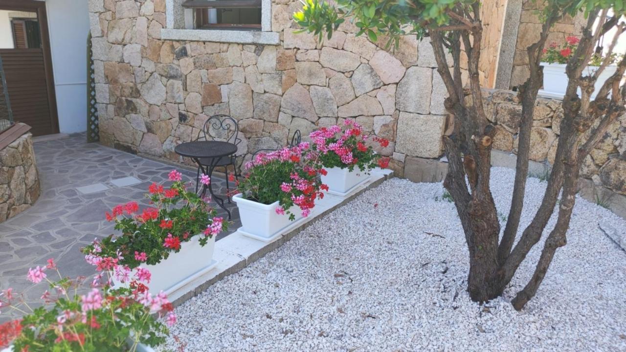Casa L'Ulivariu Affittacamere San Teodoro  Exteriör bild