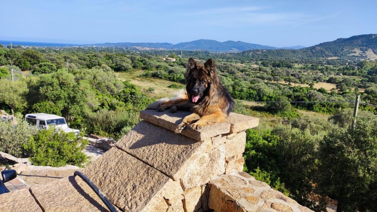 Casa L'Ulivariu Affittacamere San Teodoro  Exteriör bild