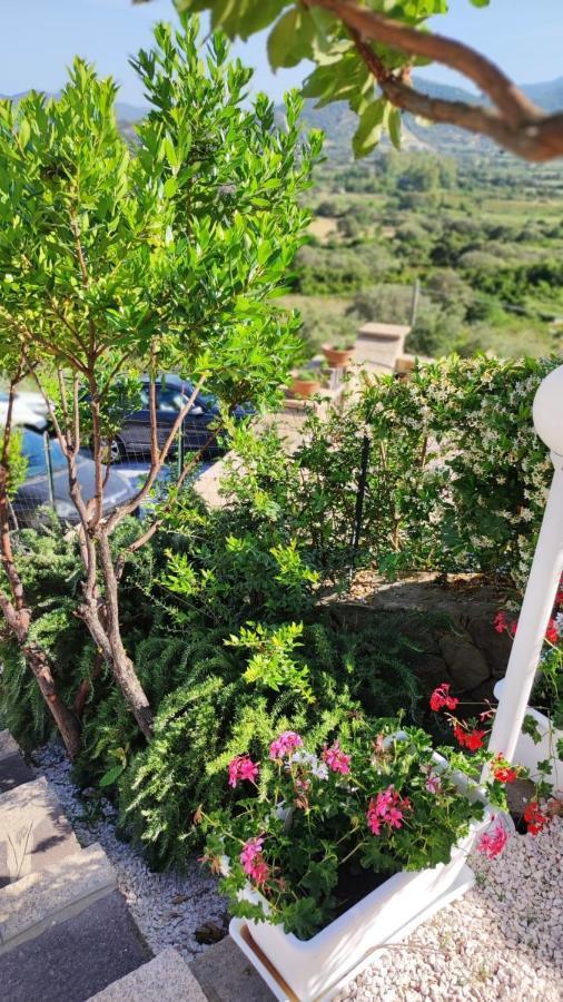 Casa L'Ulivariu Affittacamere San Teodoro  Exteriör bild