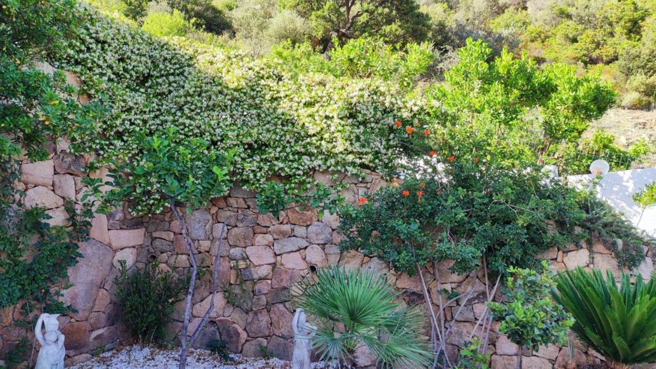 Casa L'Ulivariu Affittacamere San Teodoro  Exteriör bild