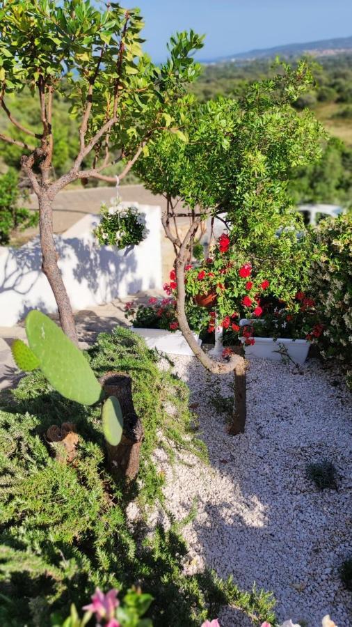 Casa L'Ulivariu Affittacamere San Teodoro  Exteriör bild