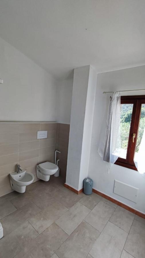 Casa L'Ulivariu Affittacamere San Teodoro  Exteriör bild