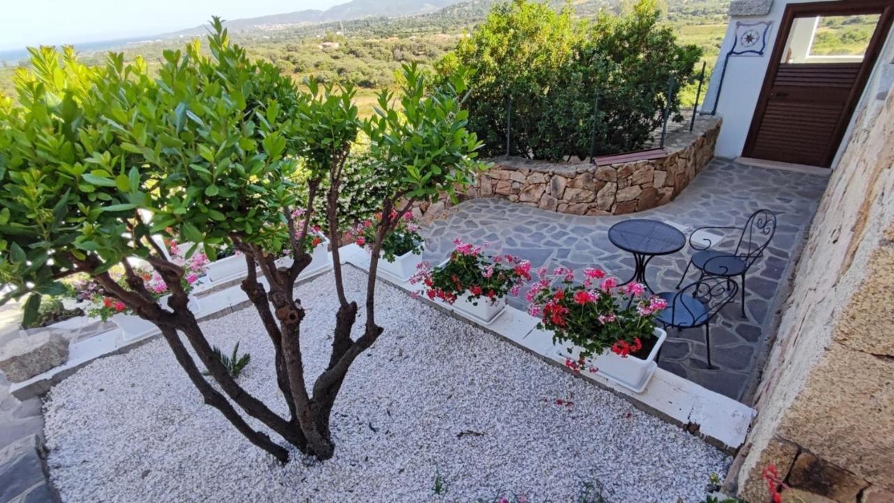 Casa L'Ulivariu Affittacamere San Teodoro  Exteriör bild