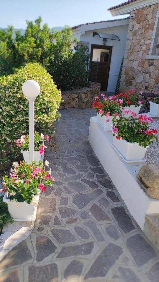 Casa L'Ulivariu Affittacamere San Teodoro  Exteriör bild