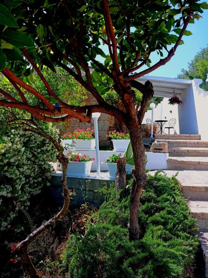 Casa L'Ulivariu Affittacamere San Teodoro  Exteriör bild