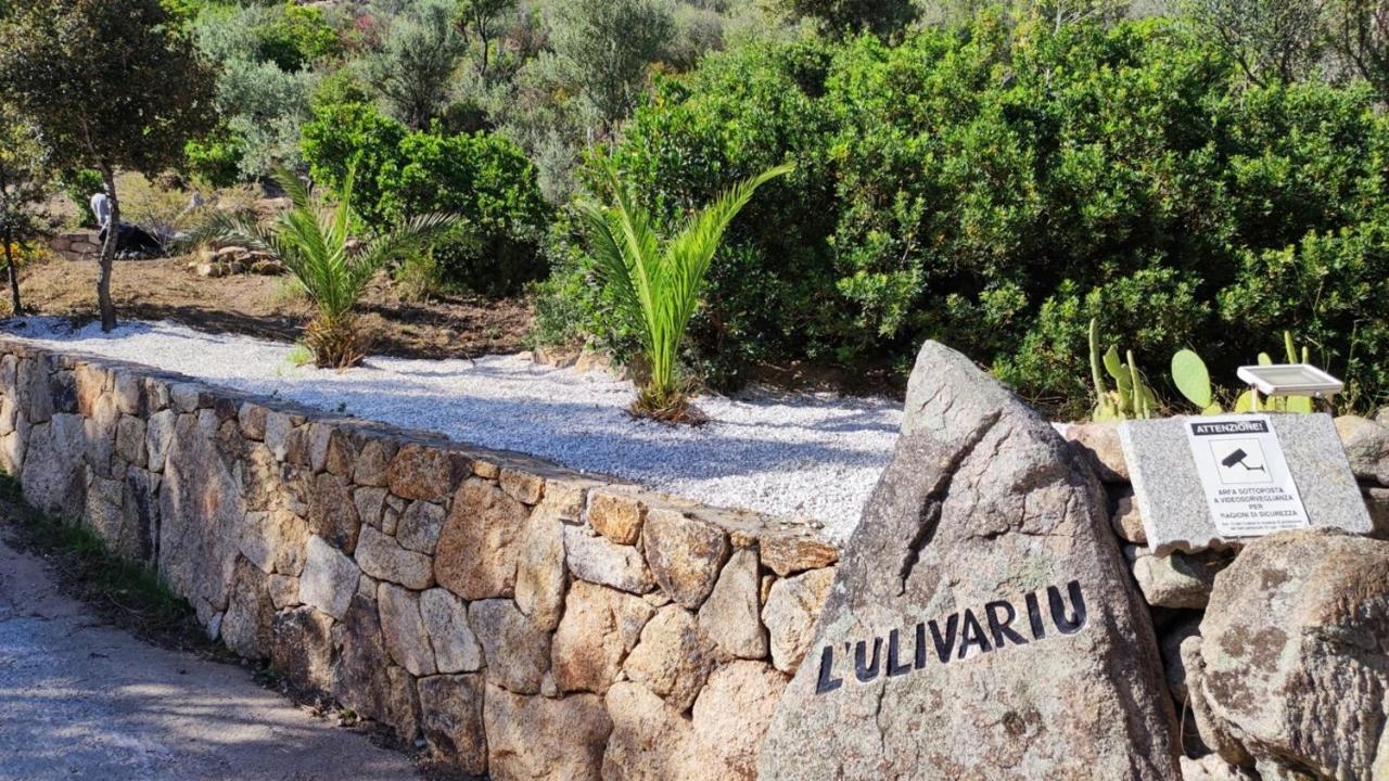 Casa L'Ulivariu Affittacamere San Teodoro  Exteriör bild