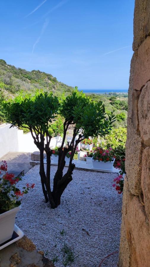 Casa L'Ulivariu Affittacamere San Teodoro  Exteriör bild