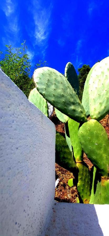 Casa L'Ulivariu Affittacamere San Teodoro  Exteriör bild