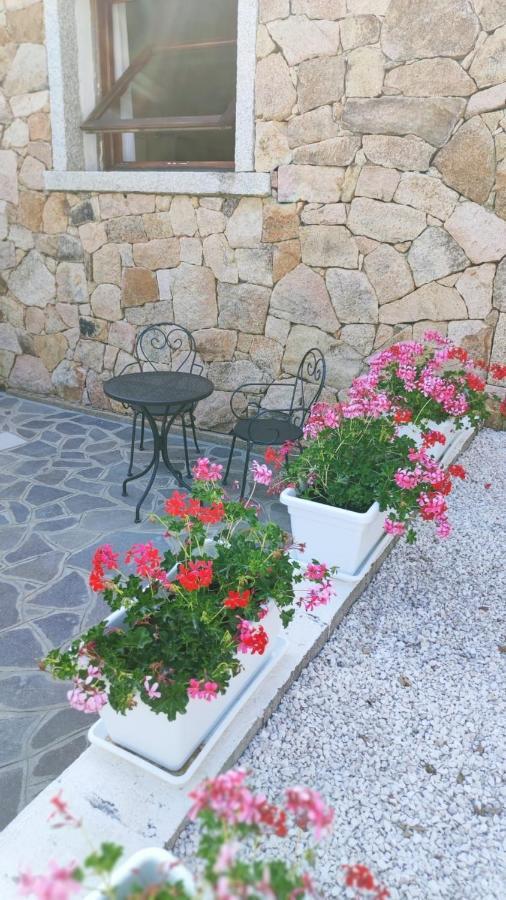 Casa L'Ulivariu Affittacamere San Teodoro  Exteriör bild