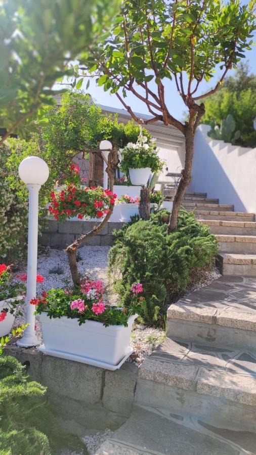 Casa L'Ulivariu Affittacamere San Teodoro  Exteriör bild